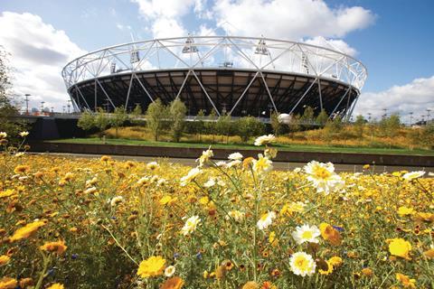 Flowers in bloom in the parkland's area of the Olympic Park looking towards the Olympic Stadium.